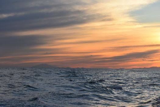 Akureyri Express Whales in the Midnight Sun — photo 7