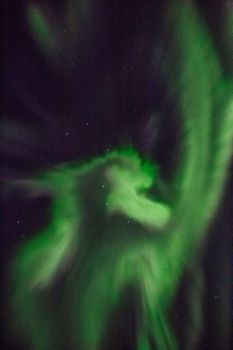 Private Combo 2in1 tour Golden Circle - Northern light hunt 12h — photo 8
