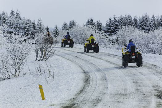 ATV & Golden Circle — photo 22