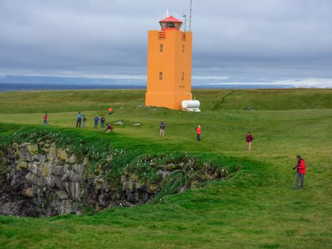 Ingólfshöfði Puffin Tour — photo 18