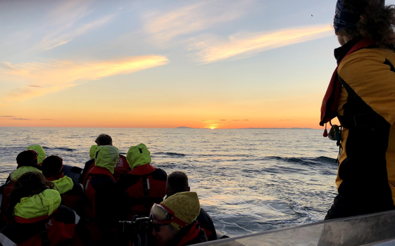Reykjavík Premium Whales in the Midnight Sun — photo 9