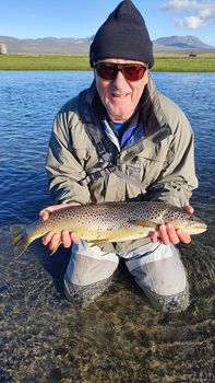 Fishing Day Tour From Akureyri, Husavik or Myvatn — photo 12
