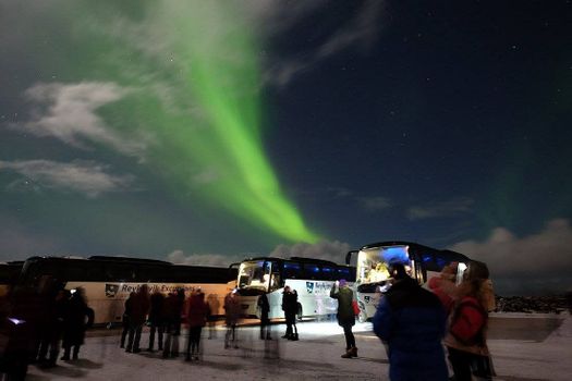 Northern Lights Bus Tour — photo 9