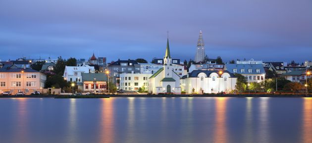Reykjavik Highlights: 2-Hour Private City Sighteeing Tour — photo 4