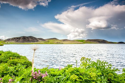 Private Lake Mývatn Tour — photo 5