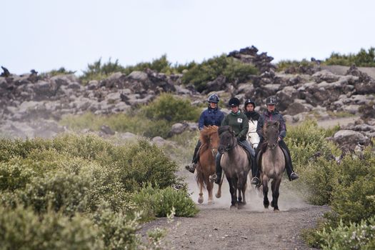 Viking Tour - For experienced riders — photo 9