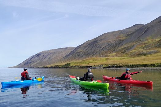 Private: Guided kayak tour in Siglufjörður / Siglufjordur. — photo 3