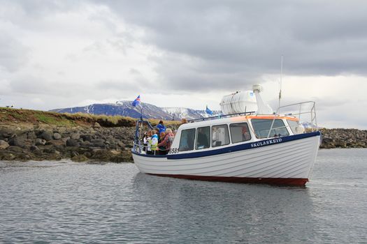 Puffin Express — photo 8