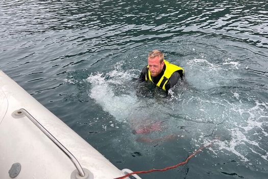 Viking Wildlife RIB Adventure — photo 16