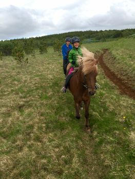 Viking Horses Mjölnir Afternoon Tour — photo 16