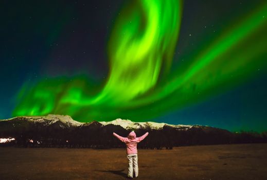Northern Lights Coach Tour with Live Forecast and English Guide — photo 2