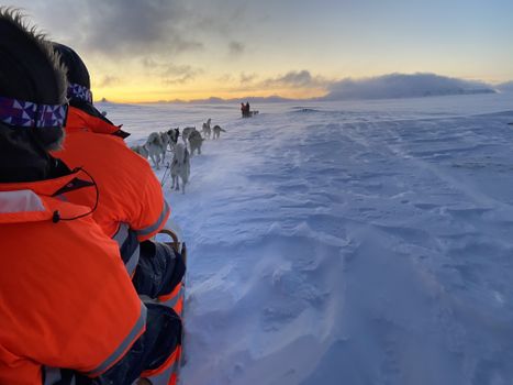 Dog Sledding Near Reykjavik — photo 24