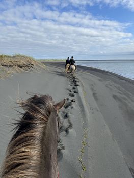 Black Sand Beach Riding Tour — photo 3