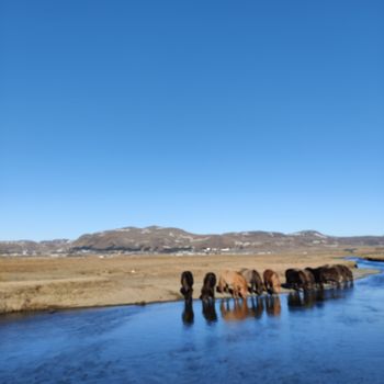 03B - Soft River Banks — photo 9