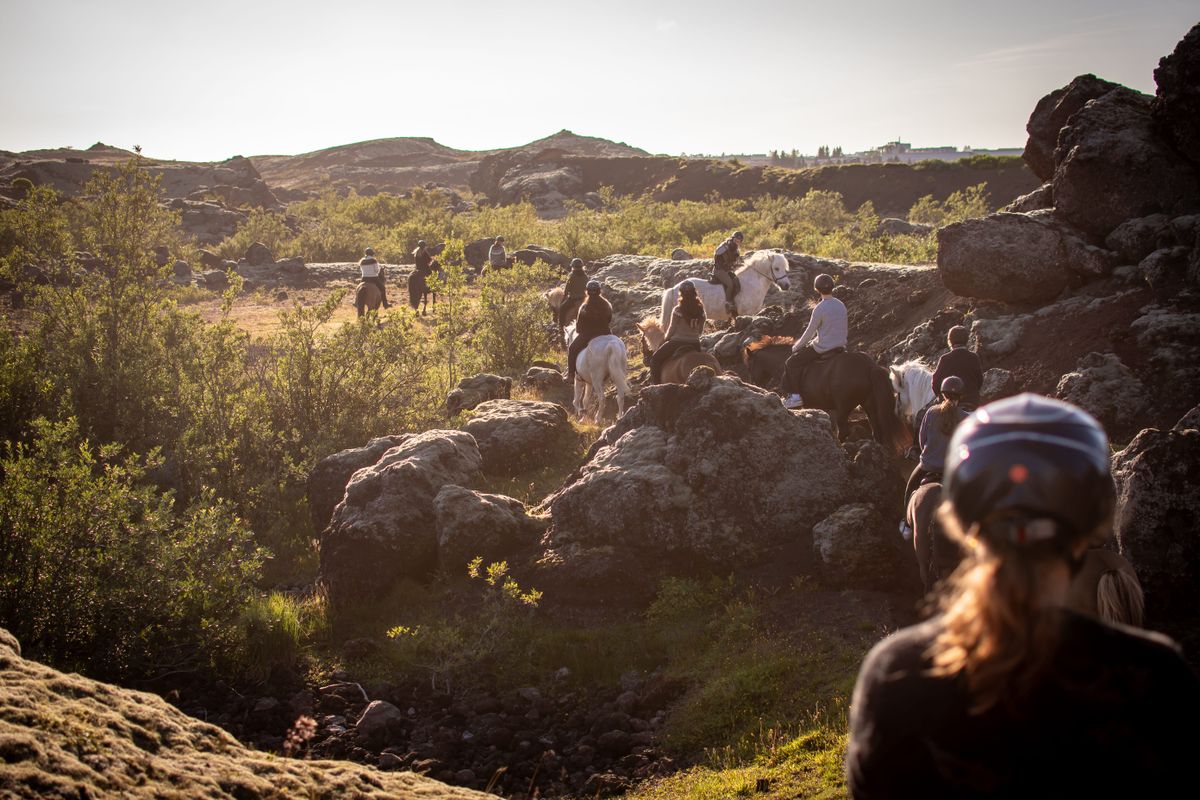 Viking Horses Sleipnir Evening Tour, photo 3 of 10