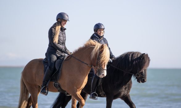 2 Hour Private Horsebackriding - Incredible opportunity to explore the enchanting landscapes while riding on a well-trained Icelandic horses — photo 2
