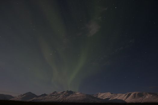 Lake Mývatn & Northern Ligths - Winter Combo — photo 11