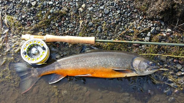 Full day fishing tour from Akureyri, Husavik or Myvatn — photo 9