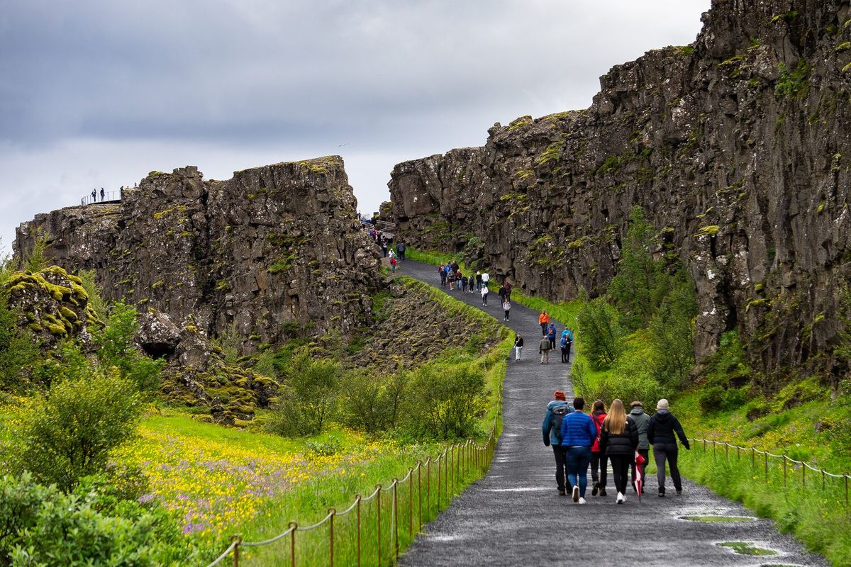 Golden Circle Afternoon Small Group Tour, photo 7 of 36