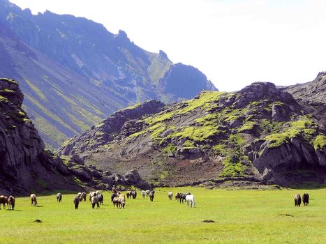 06C - The Valley of Horses - Marardalur — photo 4
