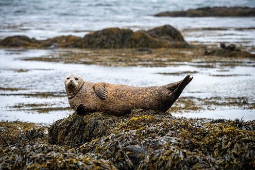 Snaefellsnes Private Tour At Iceland’s West Coast of Wonders — photo 19