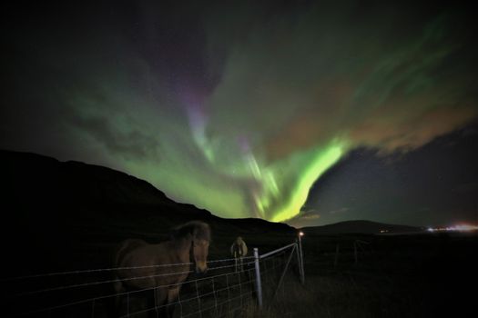 Northern Lights Viking way ATV Adventure — photo 2