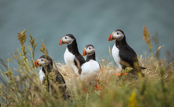 South Coast | Private Tour | Photo Package included — photo 3