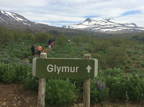 PRIVATE Glymur Waterfall Hike & Hvammsvík Nature Baths — photo 2