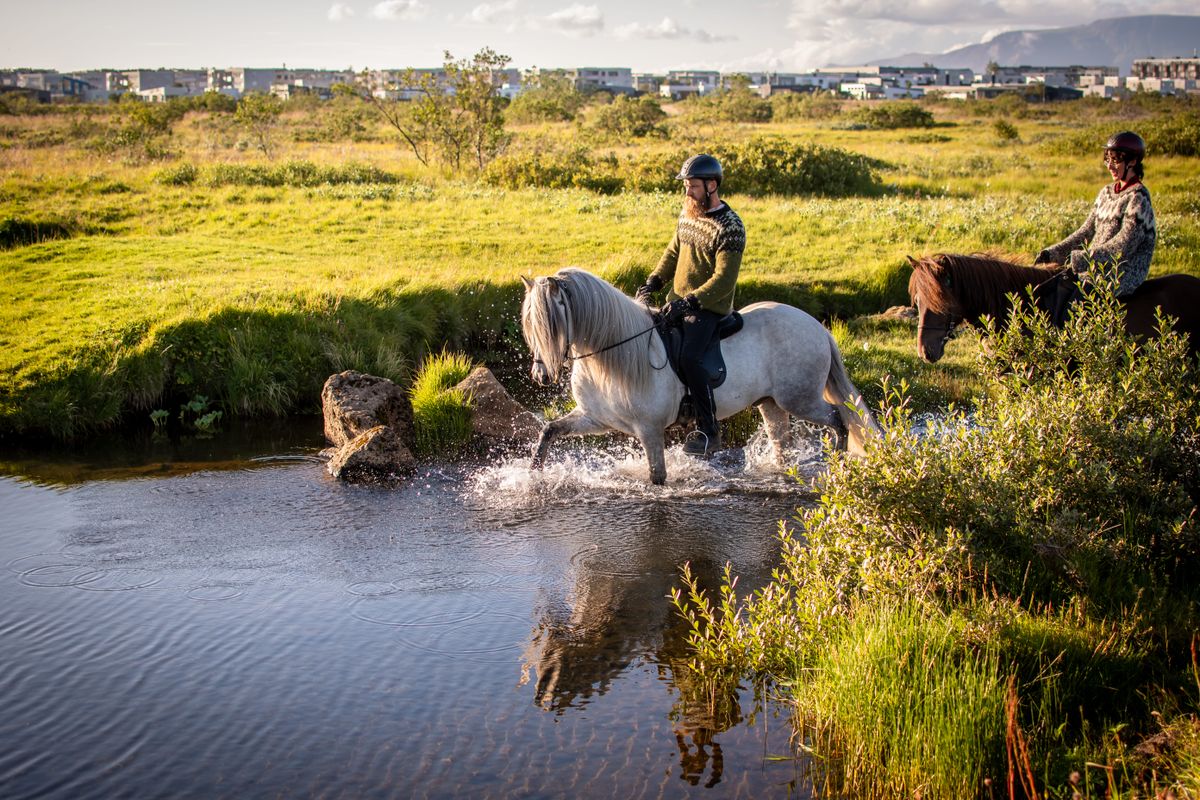 Viking Horses Sleipnir Evening Tour, photo 6 of 10