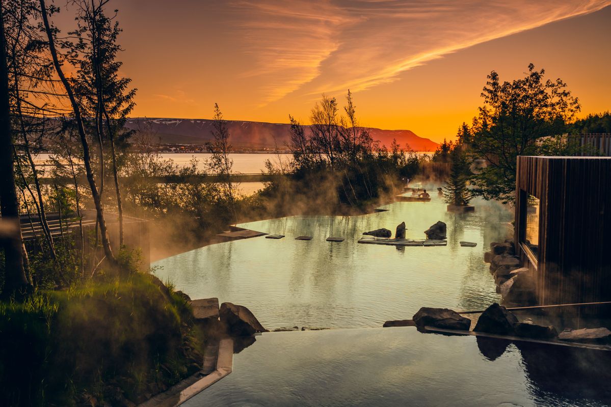 Warm - Admission to Forest Lagoon, photo 8 of 15