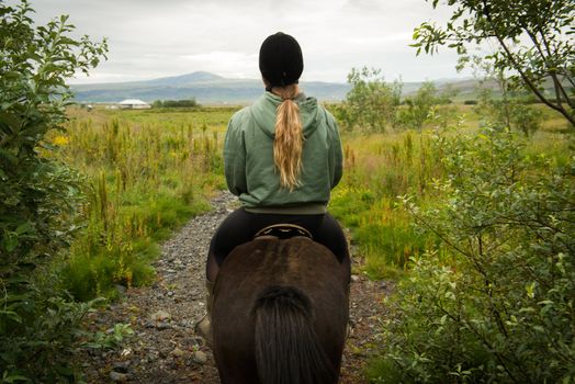 Horse Riding Tour in Reykjadalur (Hot Spring Valley) — photo 3