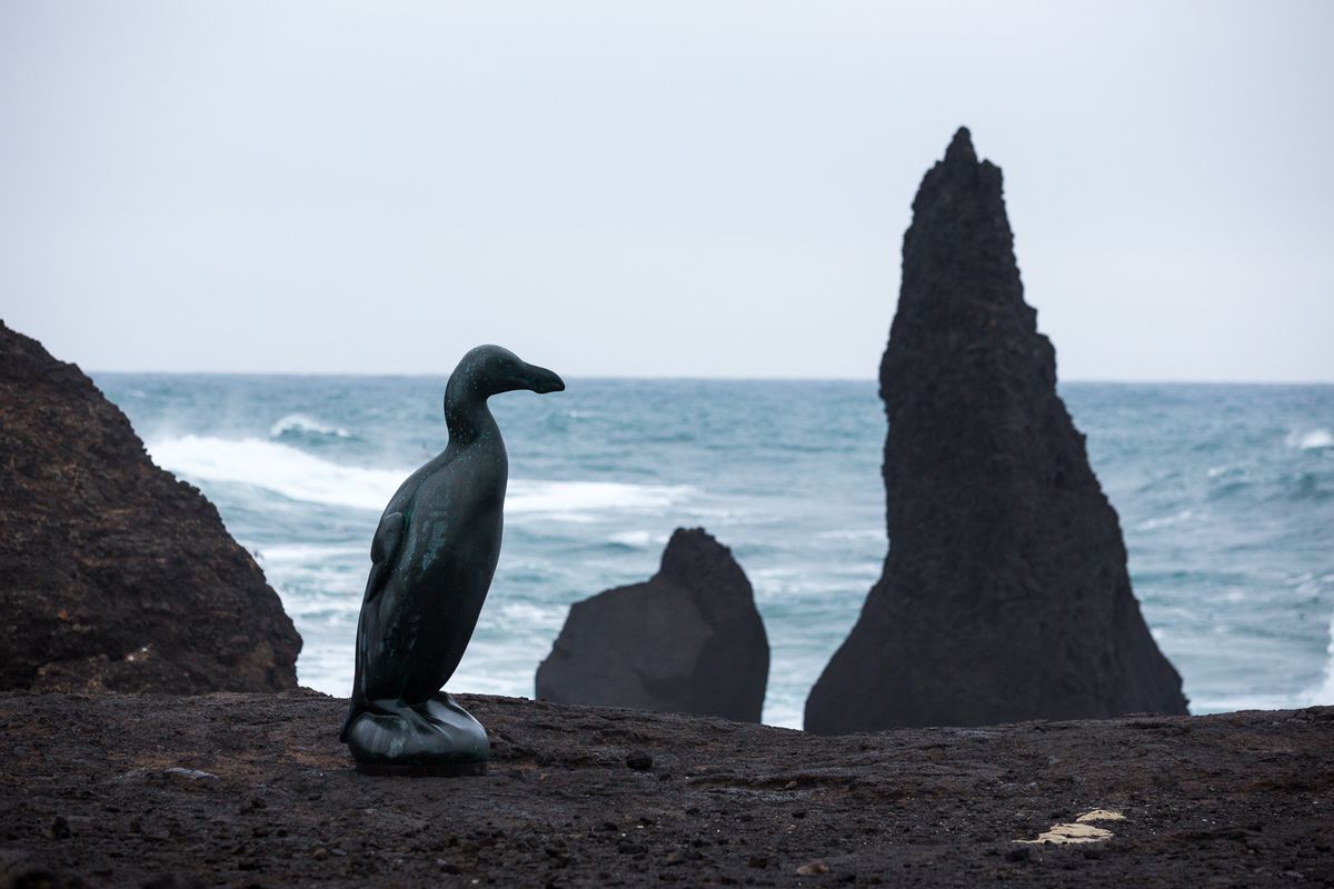 Reykjanes Lava Circle: Private Adventure to New Lava & Grindavík, photo 76 of 97