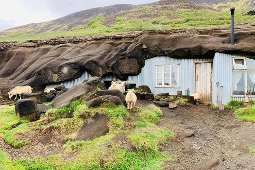 Golden Circle & Friðheimar Experience: Private Farm & Wonder Tour — photo 4