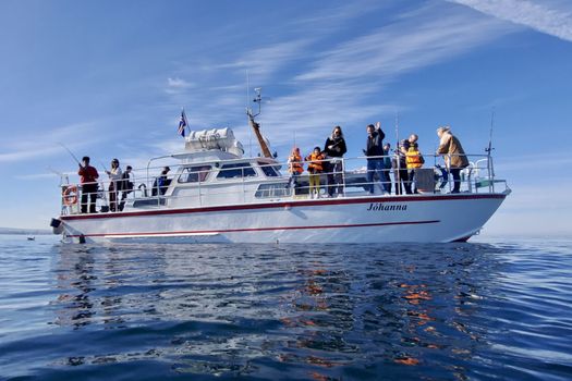 Reykjavík Sea Angling Gourmet — photo 13