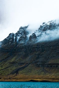 Exploring Djúpivogur - Nature and wildlife — photo 3