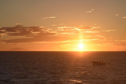Premium Whales & Midnight Sun — photo 2