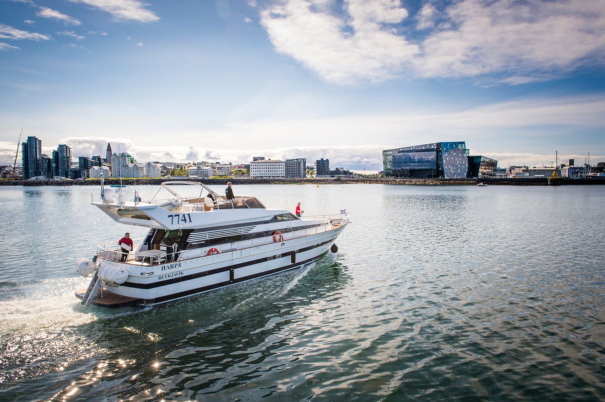 Harbor Cruise with Three Course Dinner from Reykjavik, photo 13 of 18