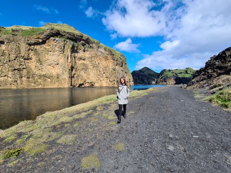 Iceland: Private Westman Islands - Volcano, Wildlife & Scenic Views — photo 6