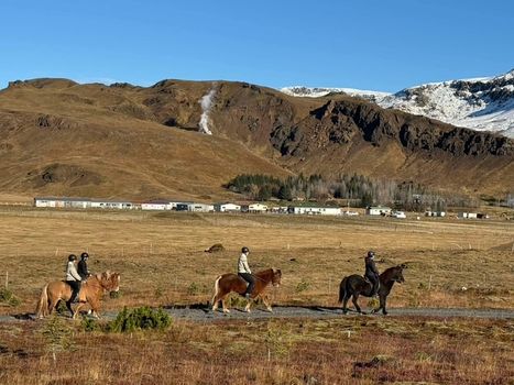 1 Hour Private Horseback Riding - Join us for an unforgettable adventure, where you can connect with these magnificent animals. — photo 4