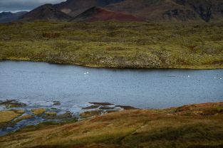 Private Minivan Tour: Snæfellsnes wonders — photo 18