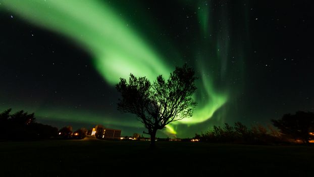 Private Northern Lights Tour from Reykjavik, With Photographs, and Hot Chocolate — photo 7