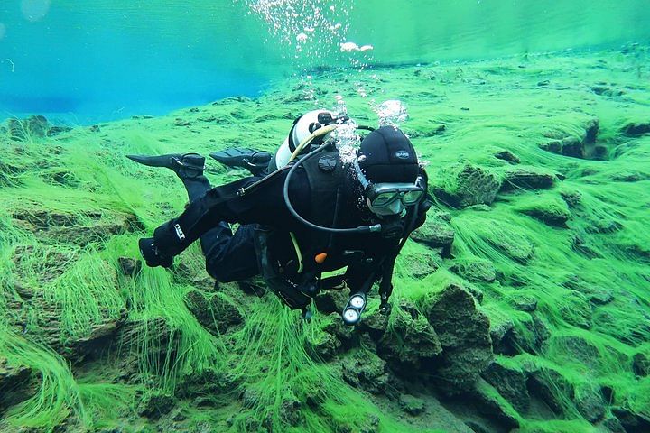 Diving Silfra Tour with Pick Up, photo 7 of 8