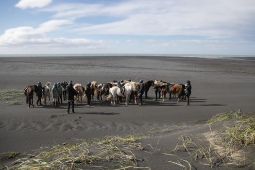 Black Sand Beach Riding Tour — photo 8
