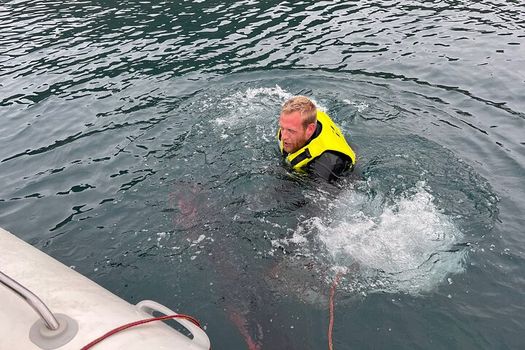 Viking Wildlife RIB Adventure — photo 17