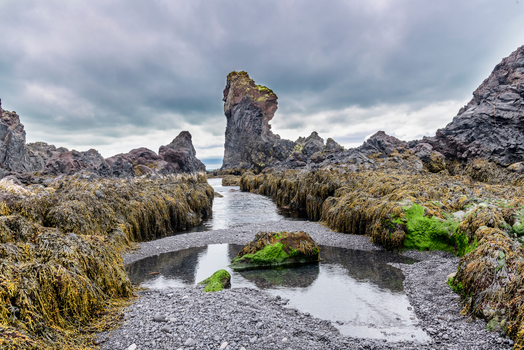 Private Snæfellsnes Peninsula Tour — photo 13