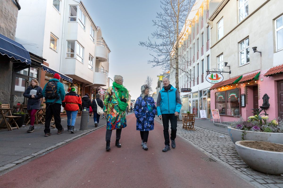 Private Reykjavik Walking Tour - 3 hours