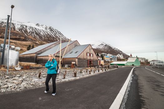 Private Arctic Coastline & Whale Watching — photo 4