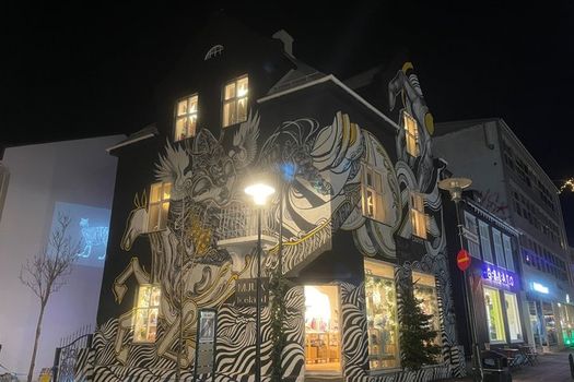 Reykjavik History and Sightseeing Walking Tour — photo 8