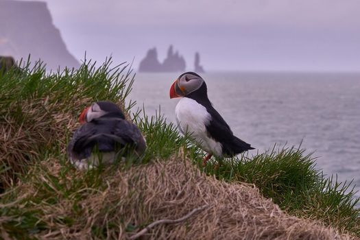 Private South Coast Tour (1-7 persons) — photo 8
