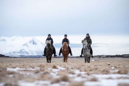 1,5h Trail Ride for All Levels — photo 7